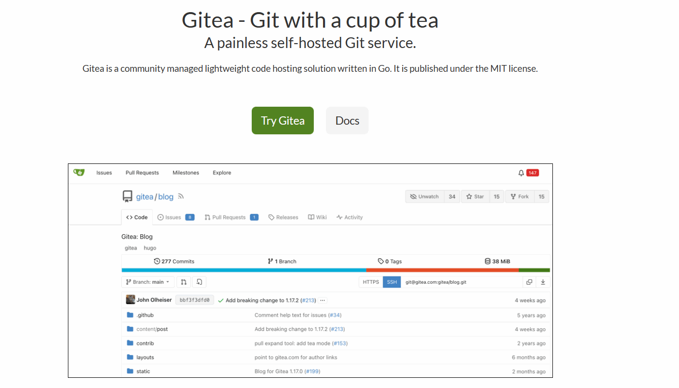 Gitea is a lightweight alternative to GitHub
